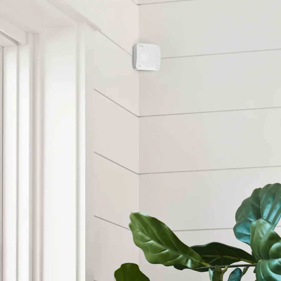 Ring Motion Detector (Newest Model) – alternate view