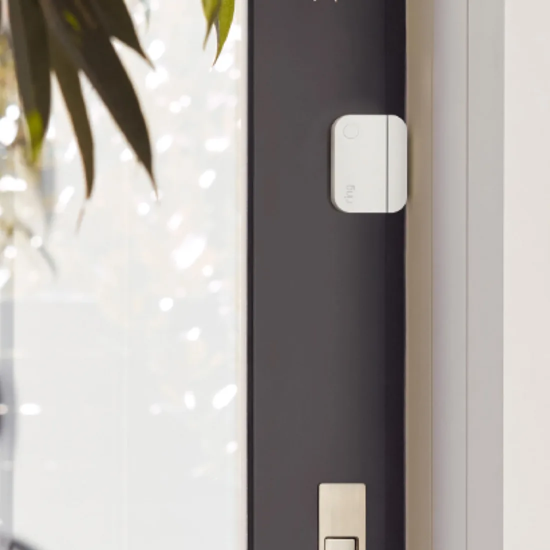 Ring Alarm Window and Door Contact Sensor – alternate view